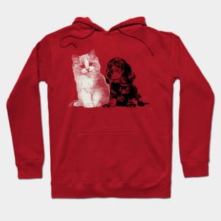 Dog and cat couple Hoodie